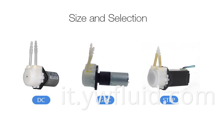YWfluid Mini pompa peristaltica di alta qualità 6 V / 12 V / 24 V Con motore CC Utilizzato per aspirazione o riempimento di trasferimento di liquidi